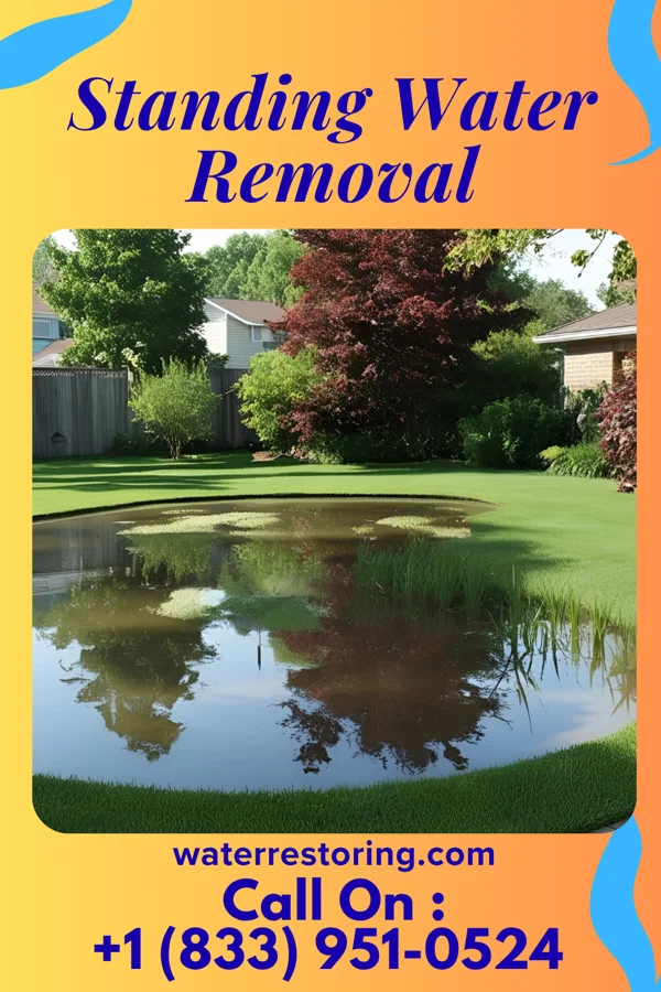 Standing Water Removal in Adel, IA